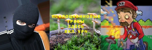 стаф Балабаново