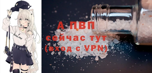 ГАЛЛЮЦИНОГЕННЫЕ ГРИБЫ Тайга